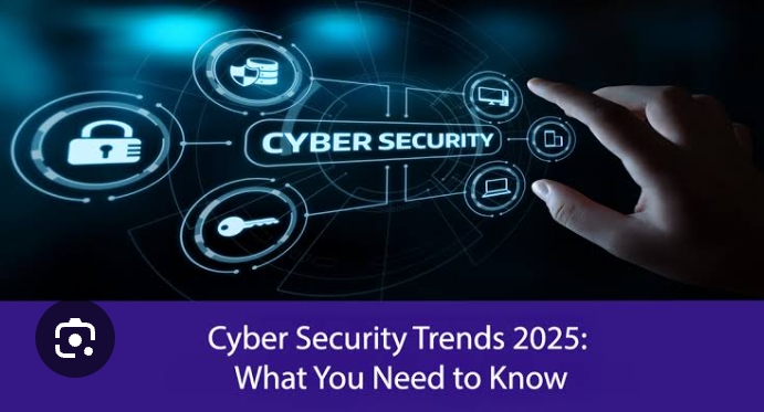 qkfzzu1lbnvinhp4dlhz